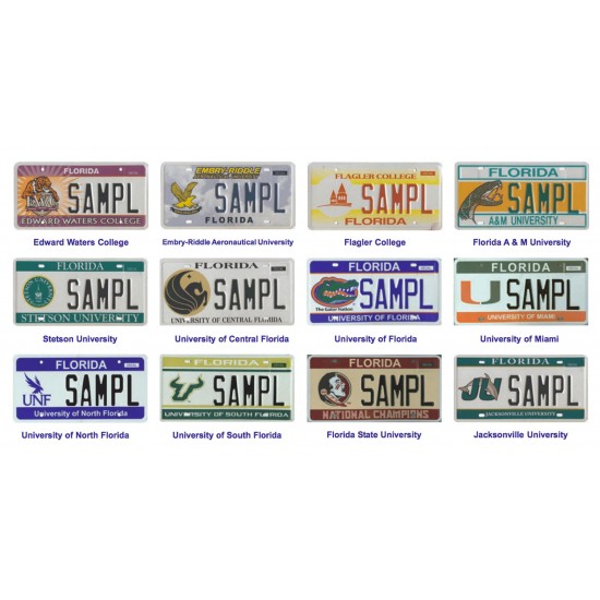 License Plate 12 x 6
